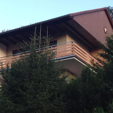 Bergoase Apartment Bad Lauterberg Exterior photo